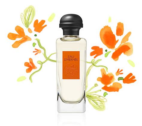 hermes review|hermes perfumes reviews.